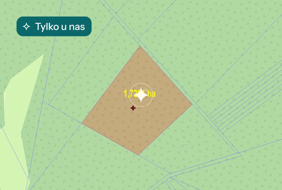 Działka leśna Mokre