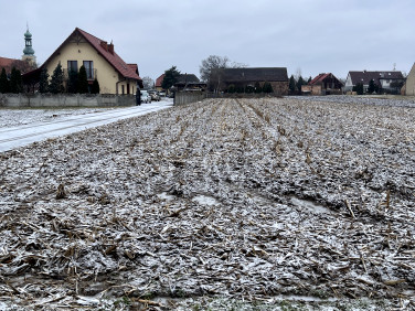 Działka budowlana Brzezia Łąka