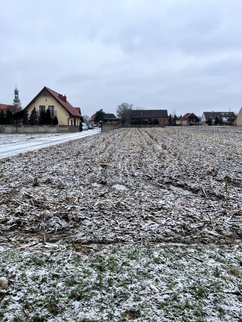 Działka budowlana Brzezia Łąka