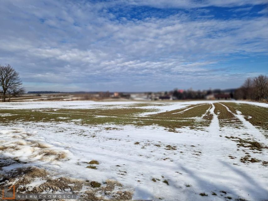 Działka budowlana Celiny