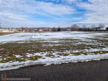 Pusta działka Celiny