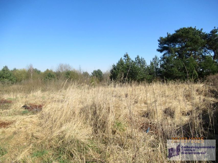 Działka budowlana Kobylanka