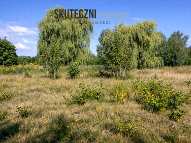 Działka budowlana Bedoń Przykościelny