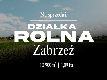 Działka rolna Zabrzeż