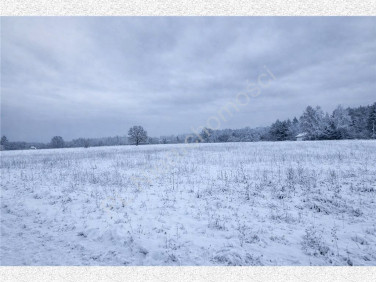 Działka budowlana Wężyk