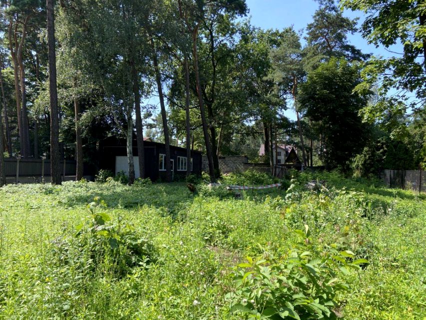 Działka Międzyborów