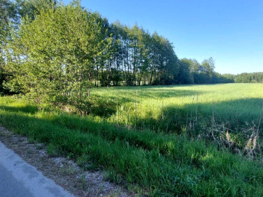 Działka budowlana Popielarnia