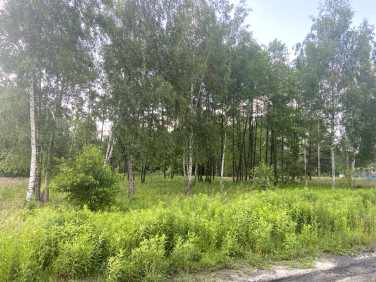 Działka budowlana sprzedam