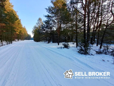 Działka Strachówka