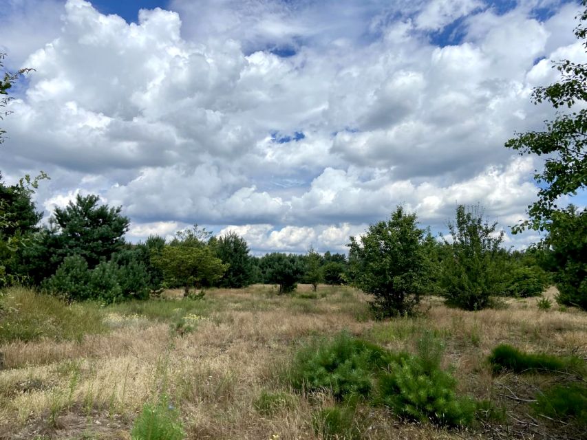 Działka budowlana Mrozy sprzedam