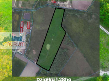 Działka rolna Żary