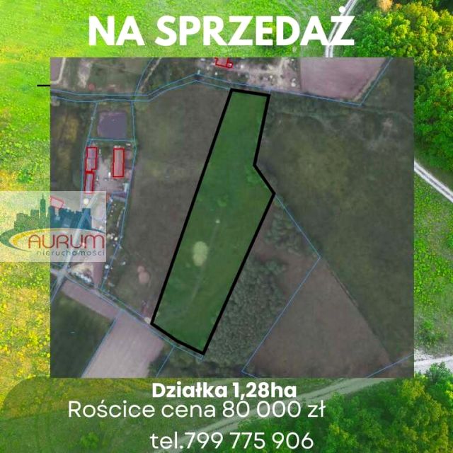Działka rolna Żary