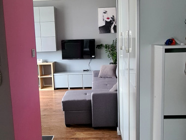 Mieszkanie blok mieszkalny wynajem