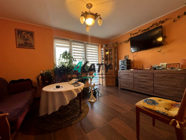 Mieszkanie Pszczyna wynajem