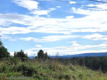Działka budowlana Nowa Wieś Szlachecka