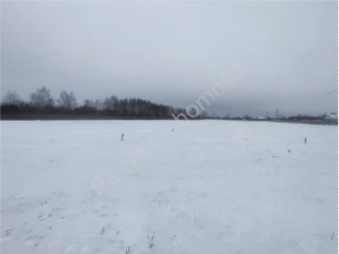 Działka budowlana Mszczonów sprzedam