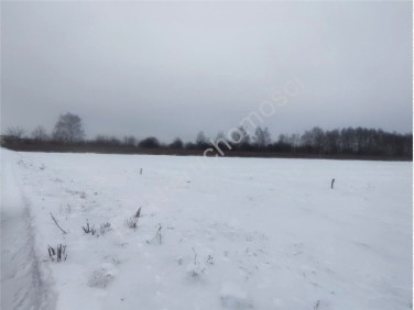 Działka budowlana Mszczonów