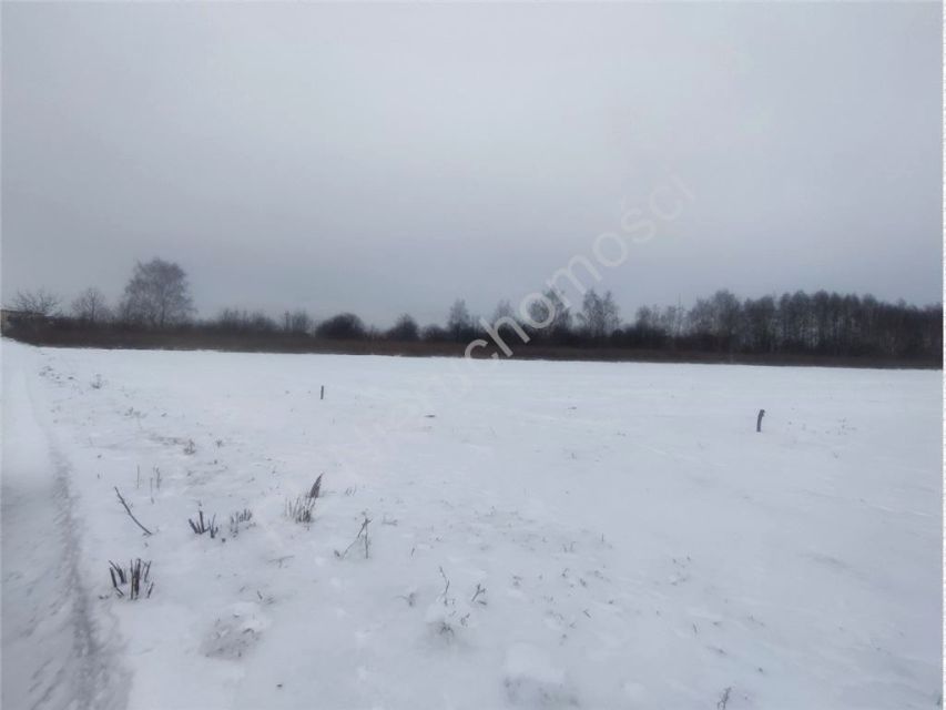 Działka budowlana Mszczonów