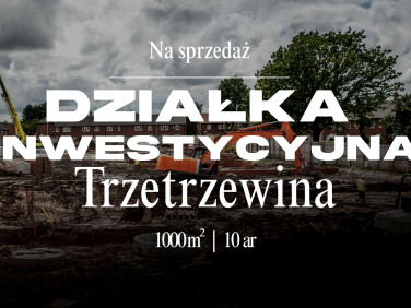 Działka Trzetrzewina