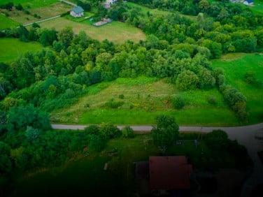 Działka Trzetrzewina