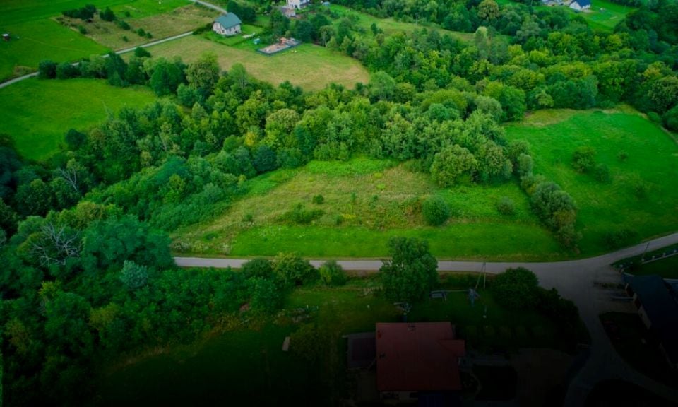 Działka Trzetrzewina