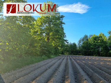 Działka budowlana Stara Kiszewa