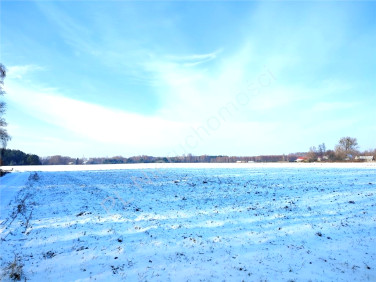 Działka budowlana Holendry Baranowskie