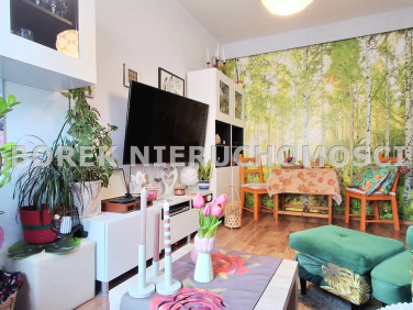 Mieszkanie Piła sprzedaż