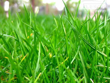 Działka budowlana Bronisławów