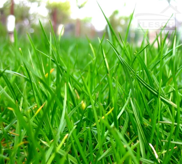 Działka budowlana Bronisławów