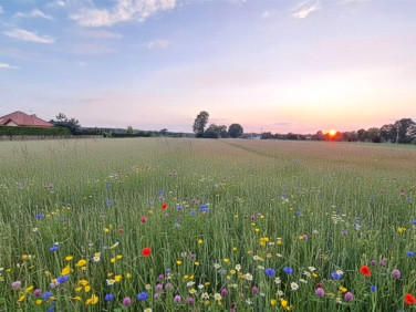 Działka budowlano-rolna Nowy Adamów