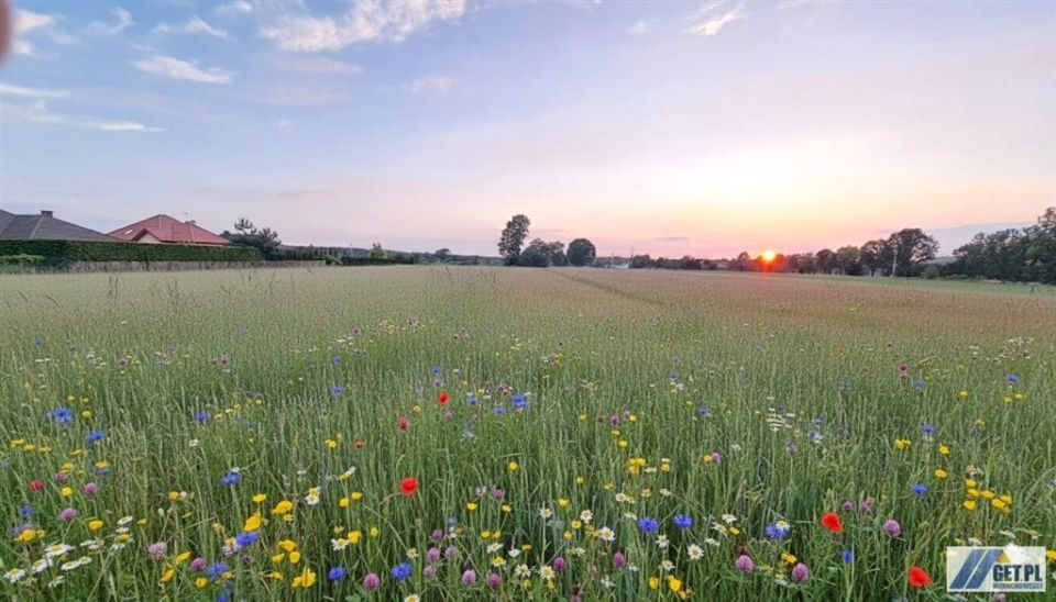 Działka budowlano-rolna Nowy Adamów