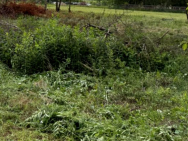 Działka budowlana Zalesie