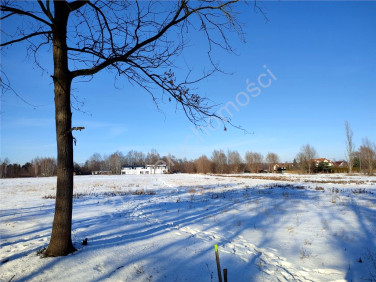 Działka Chrzanów Duży