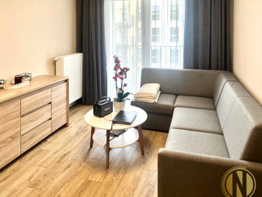 Mieszkanie Kraków wynajem