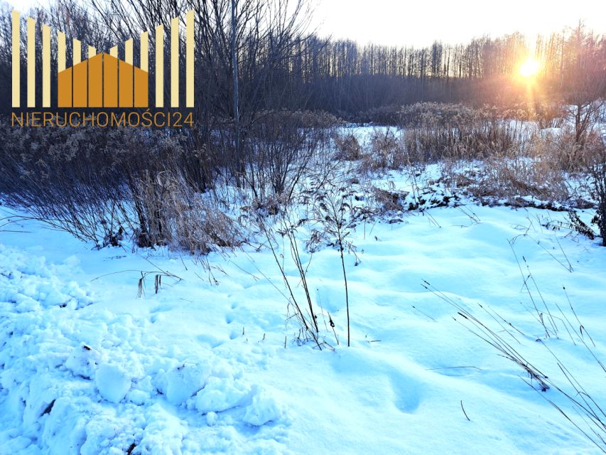 Działka Mrozy