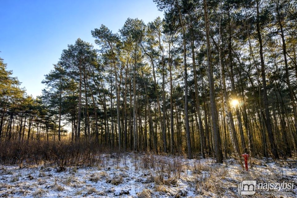 Działka budowlana Dziwnów