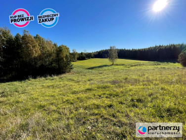 Działka siedliskowa Bukowina