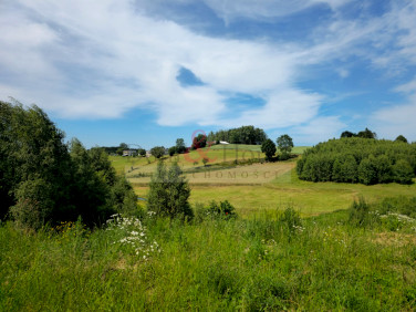 Działka budowlana Szemud