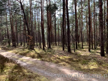 Działka budowlana Otwock sprzedam