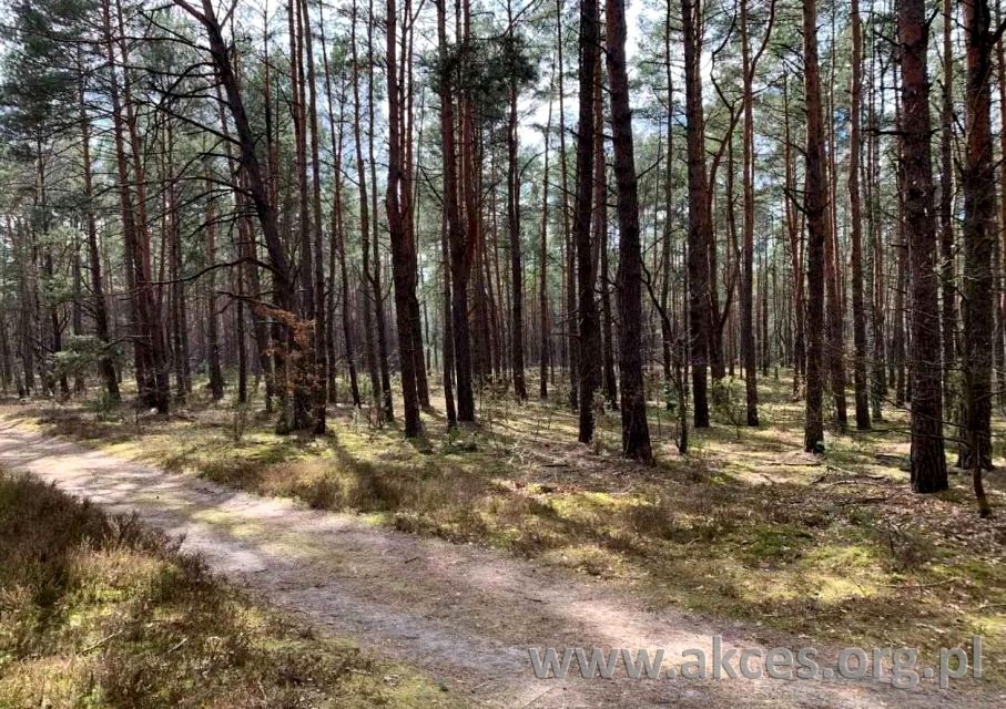 Działka budowlana Otwock sprzedam