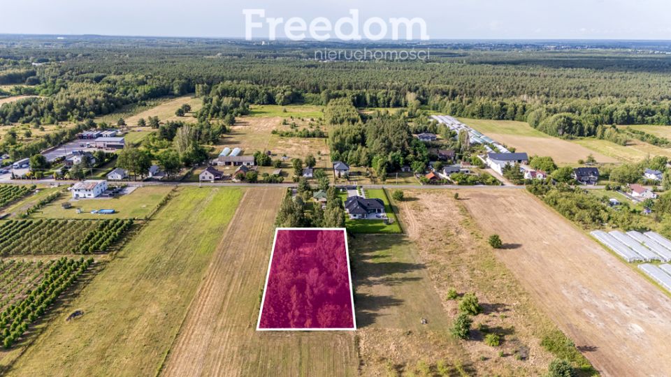 Działka siedliskowa Buczynów