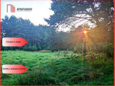 Działka Będźmierowice