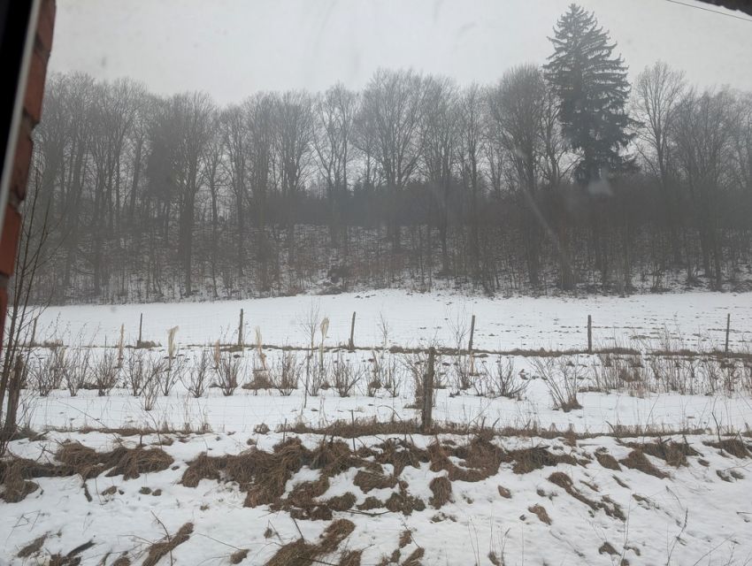 Mieszkanie Świerki sprzedaż