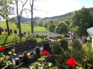 Lokal Jedlina-Zdrój