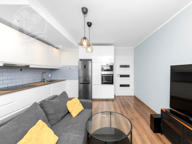 Mieszkanie Wrocław wynajem