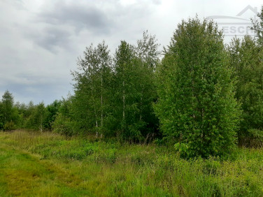 Działka siedliskowa Baszkówka
