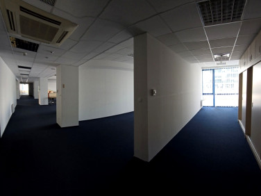 Lokal Kraków wynajem