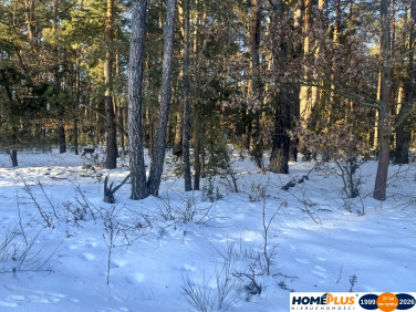 Działka budowlana Wólka Radzymińska