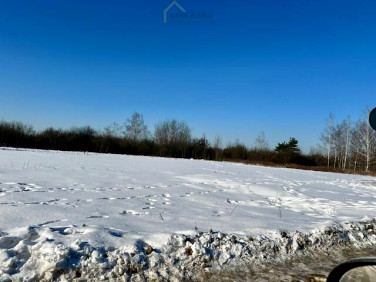 Działka inna Łomianki